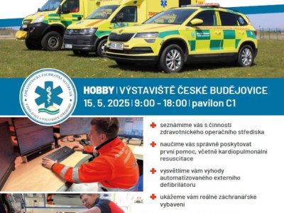 Pozvánka na Den linky 155